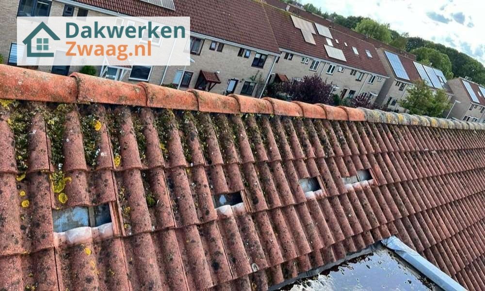 Een dakrenovatie bij oud pannendak in Zwaag
